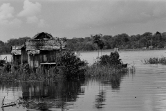 Leticia Amazonas 1984